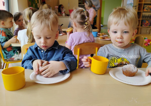 Zdjęcie 15 na 27