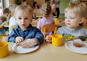 Zdjęcie 17 na 27