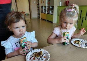 Zdjęcie 10 na 18