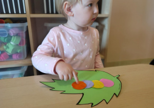 Zdjęcie 19 na 31