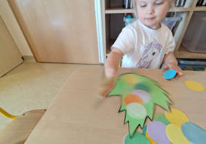 Zdjęcie 24 na 31