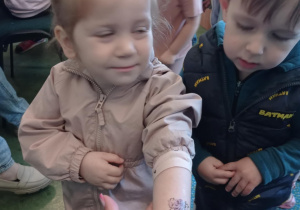 Zdjęcie 31 na 35