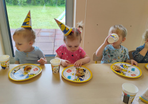 Zdjęcie 15 na 22
