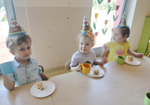Zdjęcie 16 na 27