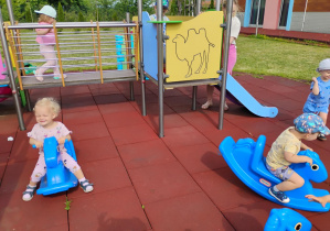 Zdjęcie 35 na 50