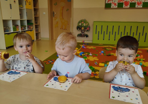Zdjęcie 7 na 22