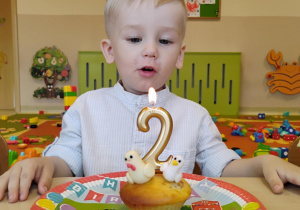 Zdjęcie 8 na 25