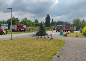 Zdjęcie 5 na 25