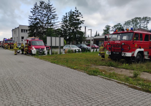 Zdjęcie 20 na 25