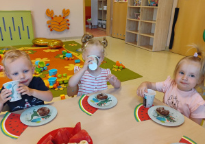 Zdjęcie 13 na 25