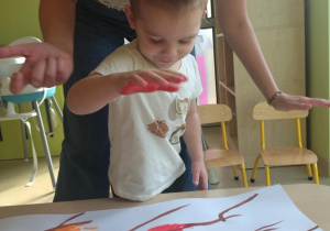 Zdjęcie 13 na 31