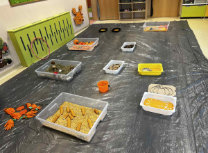 Sensoryka z Ciocią Sylwią